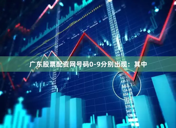 广东股票配资网号码0-9分别出现：　　其中