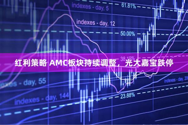 红利策略 AMC板块持续调整，光大嘉宝跌停