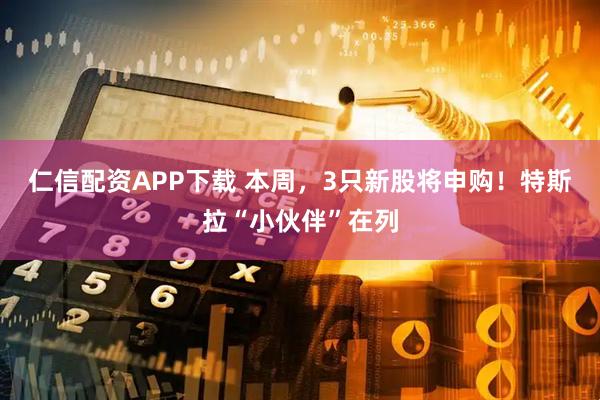 仁信配资APP下载 本周，3只新股将申购！特斯拉“小伙伴”在列